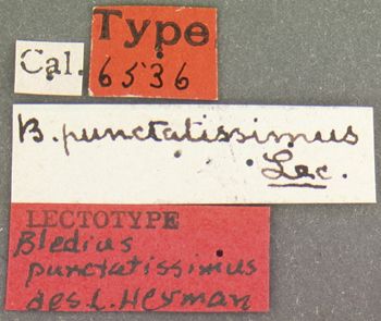 Media type: image;   Entomology 6536 Aspect: labels